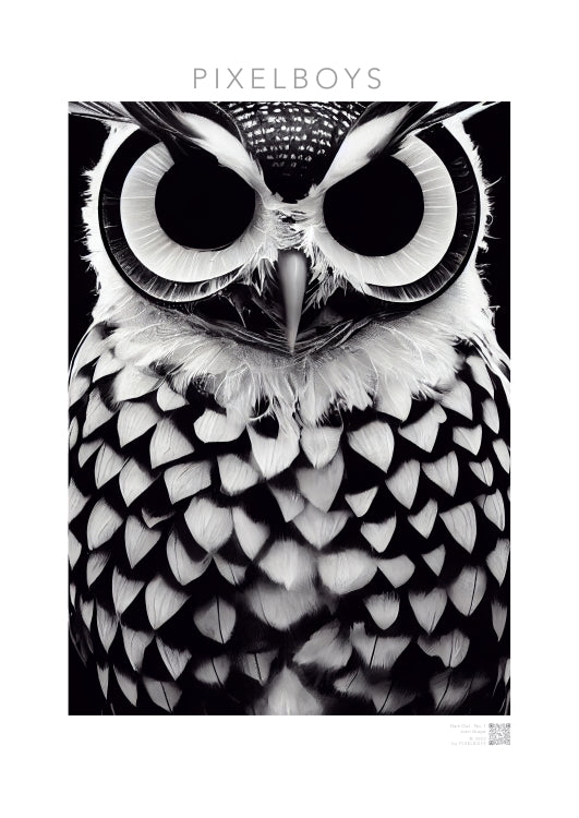 Acrylbild - Museumsqualität - Dark Owl, No. 1 - "Hedwig" - Vogel - Bird - Strigiformes - Noctua - Ornithologie - Kunstwerk - Museumsqualität - Acryldruck - Poster mit Rahmen - Poster mit Leisten - Bedruckte Tassen - Kunst Marke - Art Brand - Pixelboys - Kunstdruck - Wandbild - Kunstdrucke - Papier: 250g/qm - Künstler: John Grayst & Pixelboys - Eulen - Owl-  - Atelier - England - London - Birmingham–Wolverhampton - Manchester - Leeds Bradfort - Liverpool  